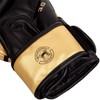 Venum Unisex Challenger 3.0 Boxing Gloves, Black/Gold, 12 oz /