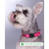 Strong Bright Reflective Dog Puppy Collar, Soft Padded Lightweight, Fully