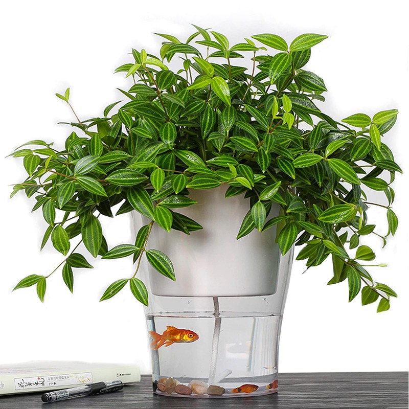 Oresteluchetta Self-watering pot for outdoor/indoor ASON MEDIUM