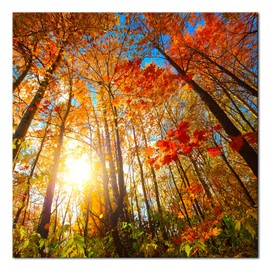 Pyradecor Large Canvas Prints Wall Art Last Hint of Sunset Pictures Paintings for Living Room Bedroom Home Decorations Modern Stretched and Framed Nature Landscape Artwork