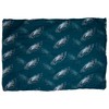 Little Earth 300615-EAGL: Philadelphia Eagles Sheer Infinity Scarf