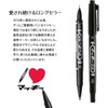 P-MO-120-MC-BK5 Permanent Pen, Mackie, Extra Fine Point, Black, 5 Pens