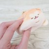 Kamio Japan Isuken, Mascot Ball Chain Mascot/Akitakomeko