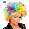 Rainbow Punk Wig - Adult Fancy Dress Accessory
