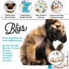 The Blissful Dog .15 oz Tube Beagle Booboo Butter