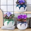 BUYMAX African Violet Pots, 6 inch Ceramic Easy Self Watering
