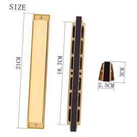 WHAMVOX C Major Harmonica 28-hole Wide Range Polyphonic Beginner's Musical Instrument Stainless Steel Abs for Boys and Girls