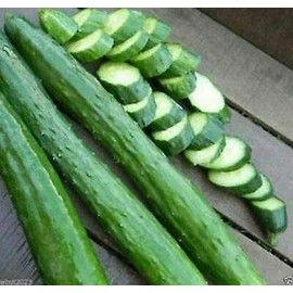Armenian Dark Green Cucumber Seeds, 100 Heirloom Seeds Per Packet, Non GMO Seeds, Isla's Garden Seeds