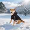 Abrigo de Perro，Llevar Un Sombrero Ropa de Perro，Engrosar para Mantenerse