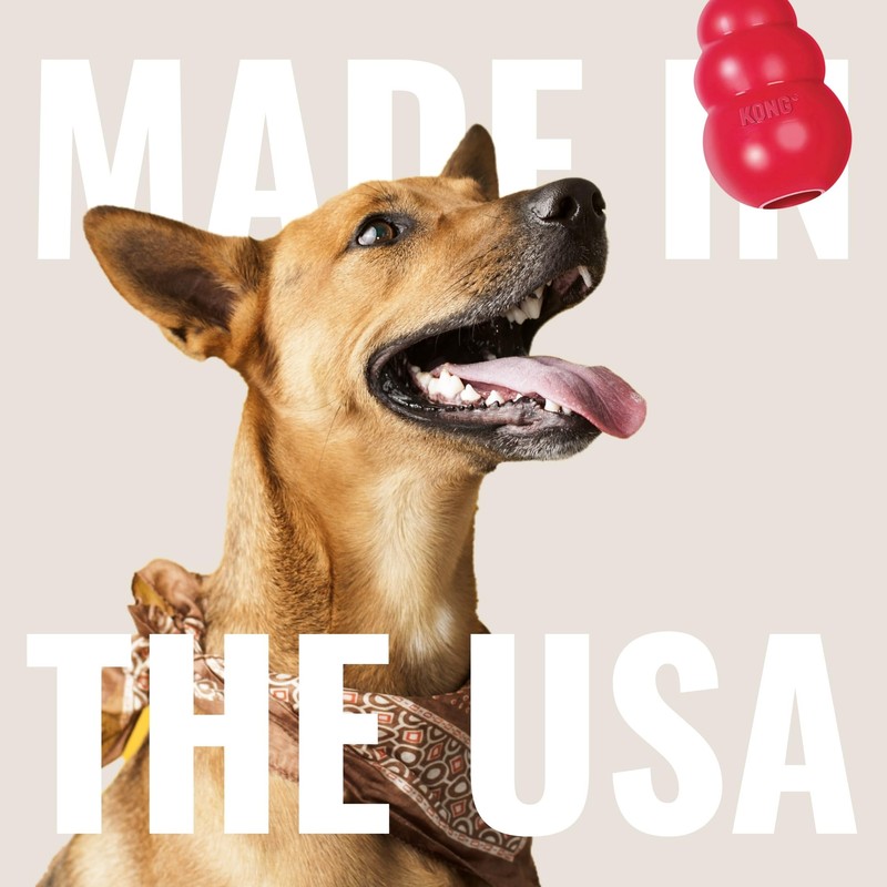 KONG Extreme Flyer - Dog Toy Supports Healthy Exercise -