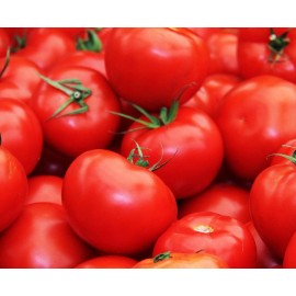 Southeast Seeds Floridade Tomato Seeds, NON-GMO, Heirloom, Determinate, Hot/Humid, FREE SHIP - 200 Seeds