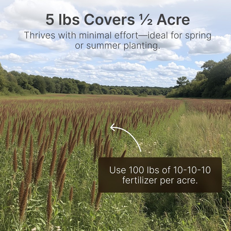 Hit List Seed® Grain Sorghum Food Plot Seeds for Deer