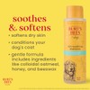 Burts Bee Itch Soothing Shampoo, 16-Ounce