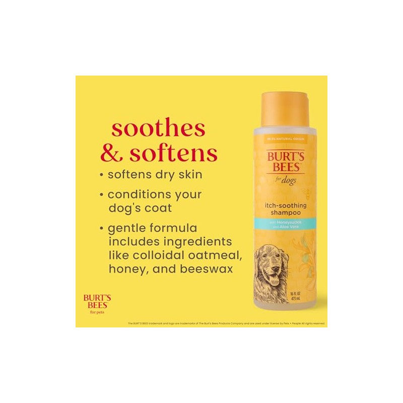 Burts Bee Itch Soothing Shampoo, 16-Ounce