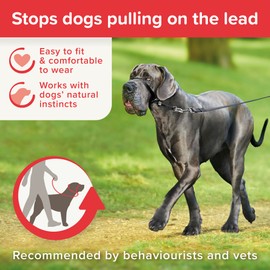 Beaphar | Gentle Leader | Head Collar for Large Dogs | Stops Pulling On The Lead | Training Aid with Immediate Effect | Endorsed by Behaviourists | Black x 1