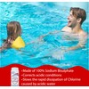 pH Down Pool & Spa Water Balancer (700 gm)