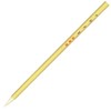 Sumikundo Paint Brush, Medium 23208