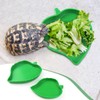 2 Pcs Leaf Reptile Food Water Bowl Plate Dish for