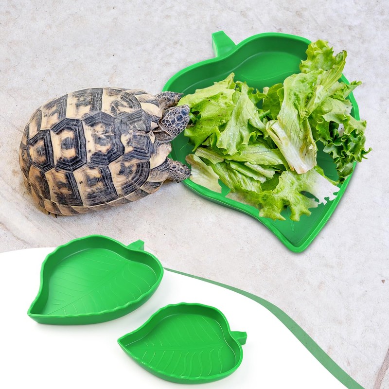 2 Pcs Leaf Reptile Food Water Bowl Plate Dish for