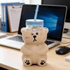 Kawaii Bear Sippy Cup 19oz, Clear Bear Glass Cup with