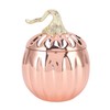 Pumpkin Wine Glass Pumpkin Shaped Stainless Steel Rose Gold Wine