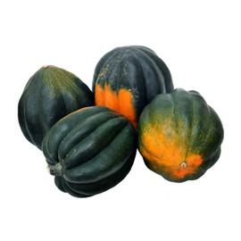 Table King Bush Acorn Winter Squash Seeds - Non-GMO - 4 Grams
