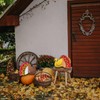 2 Pcs Glitter Thanksgiving Turkey Centerpiece, Glitter 3D Turkey Table