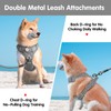 PoyPet No Pull Dog Harness and 5 Feet Leash Set,
