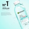Garnier Skin Active Agua micelar desmaquillante Pure Active para piel