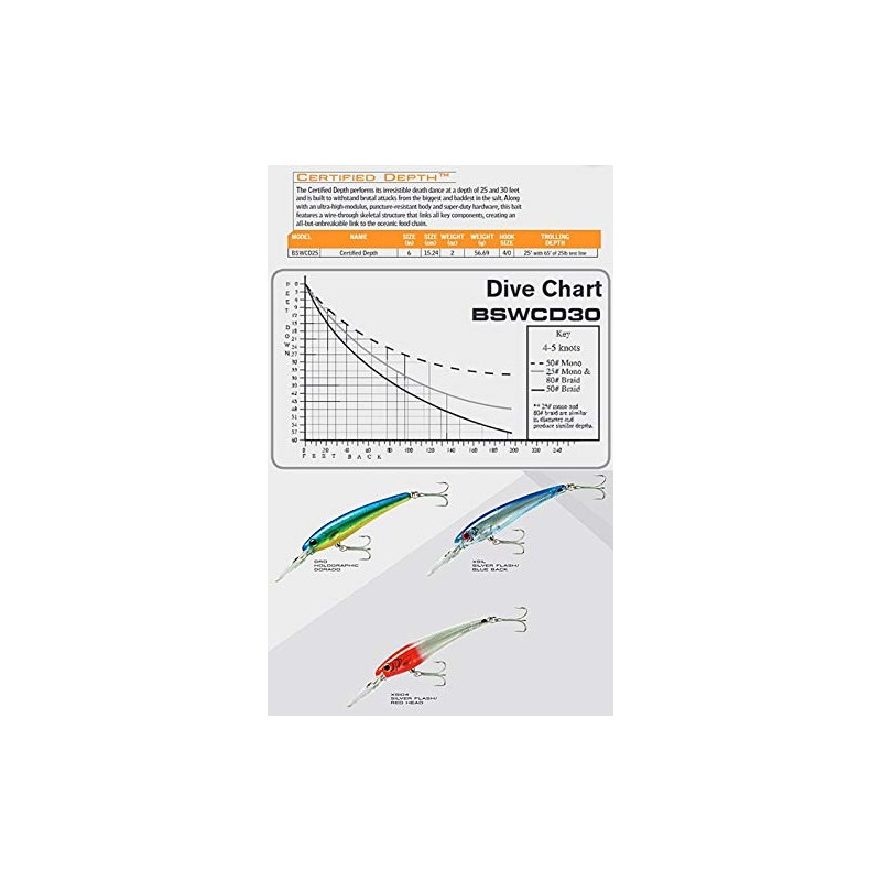 BOMBER Saltwater Grade CD (Certified Depth) - Silver Flash/Blue Back