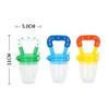 Food Feeder Baby Fruit Pacifier (3 Pcs) with 6 Different