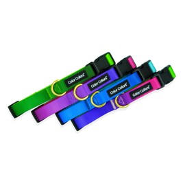 Premium Quick Release Buckle Dog Collar, Trendy Ombre Design, Elegant Brass Ring, Comfortable, Durable and Strong, Multiple Sizes and Colors, Matching Leashes Available (Large (17"-25"), Sunset)