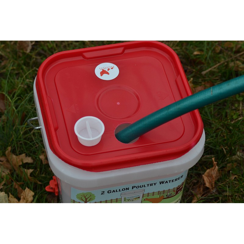 RentACoop 2 Gallon Chicken BPA-Free Plastic Bucket Waterer Set with