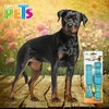 Fancy Pets Correa con Collar de Nylon para Perro con