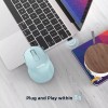 VicTsing Mini Ergonomic Wireless Mouse, 2.4G Quiet Mouse with USB