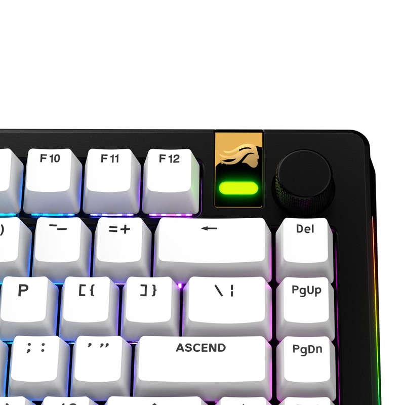 Glorious Gaming - GPBT Basics (PBT Keycaps), Classic White, No