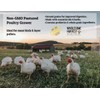 Wholesome Harvest Non-GMO Pastured Poultry Grower 19% for Growing Chickens