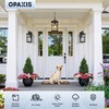 OPAXIS Dusk to Dawn Outdoor Hanging Lights, 14.5 inch Large