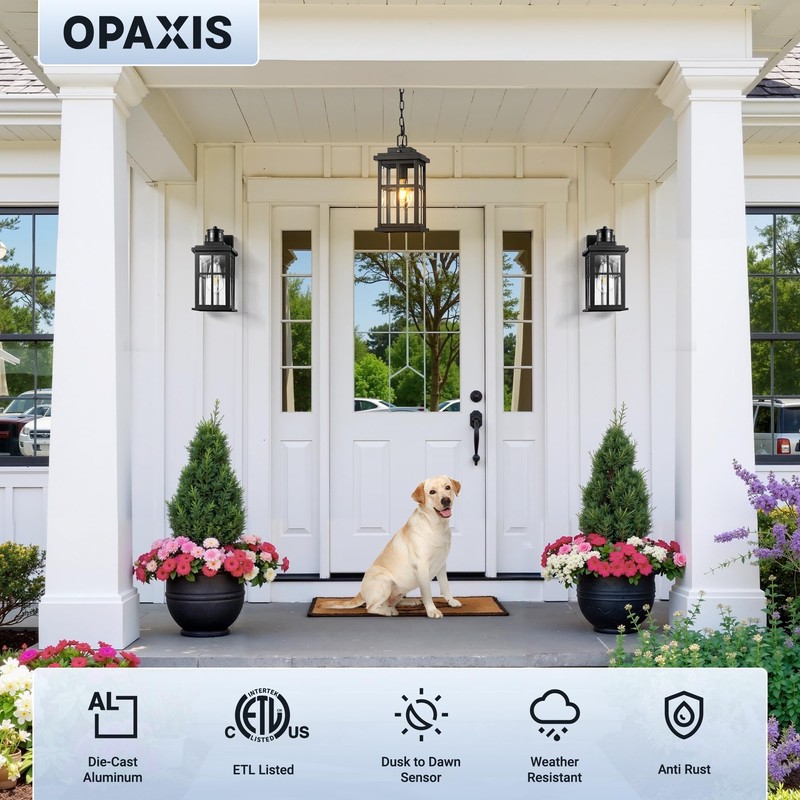 OPAXIS Dusk to Dawn Outdoor Hanging Lights, 14.5 inch Large