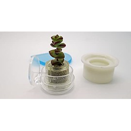 Boo-Boo Nest - Miniature Succulent and Cactus Air Planter Pot Enclosure for All Miniature Terrarium and Necklace Boo-Boo Plants. with Reusable Sticker (Nest + Bubbly Terrarium Plant)