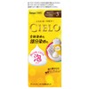 ホーユー シエロ ムースカラー 3 (明るいライトブラウン) 1剤50g+2剤50g [医薬部外品]