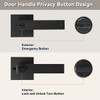 KAMOTA Privacy Door Levers, 8 Pack Matte Black Door Handles