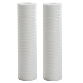 IPW Industries Inc. - AO Smith (AO-WH-PREV-R2) 5 Micron Grooved Sediment Cartridge Water Filter Replacement for Whole House Filtration Systems (2pcs.)
