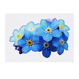 'Forget-Me-Nots' Temporary Tattoo - Water Resistant, Skin-Safe, Non-Toxic Transfer (TO00032269)