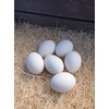 Ceramic Chicken Nesting Eggs (White) - Fake Training Eggs for