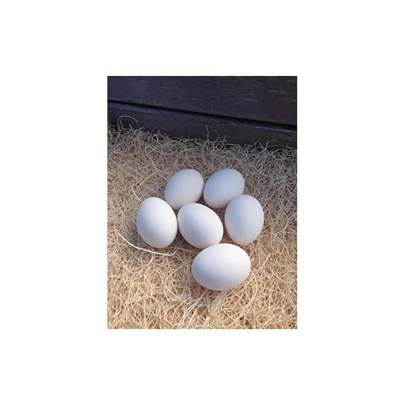 Ceramic Chicken Nesting Eggs (White) - Fake Training Eggs for