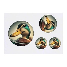 Azeeda 4 x 'Lächelnde Stockente' Temporäre Tattoos - Wasserfest, Hautfreundlich & Ungiftig · Transfers in Verschiedenen Größen (TO00081804)