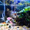 WishLotus Glowing Effect Fish Tank Decorations, Silicone Lotus Leaf Aquarium