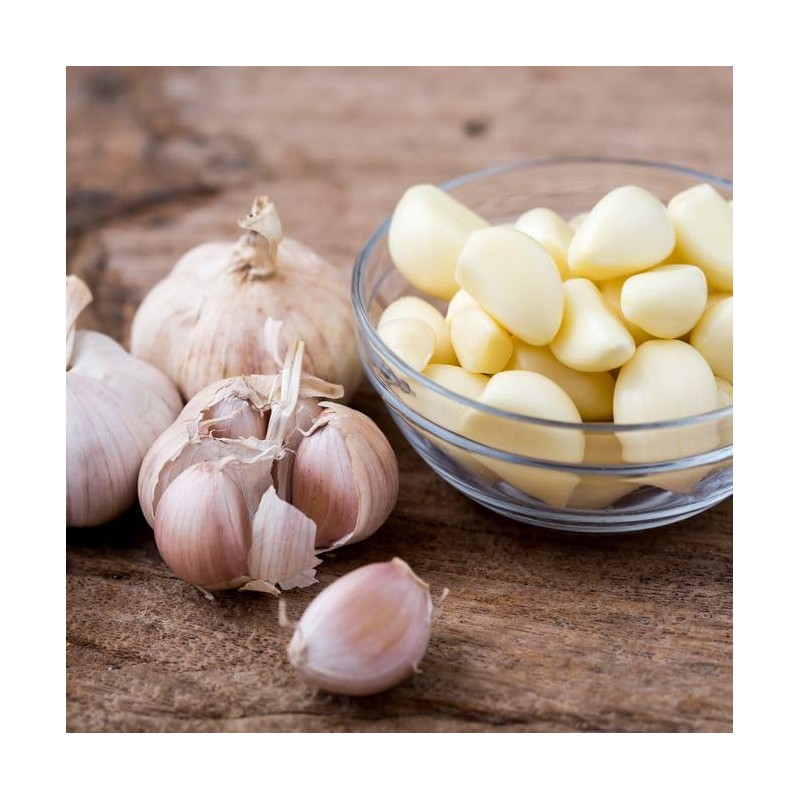 Fresh Garlic Bulbs Home Grown in CA,USA. - Qty :