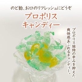 Yamada Apiary Propolis Candy, 3.5 oz (100 g) (24-26 Capsules)